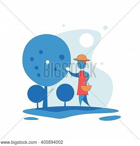 Female Harmer Harvest Fruit From Fruit Garden. Flat Blue Modern Simple Illustration Vector