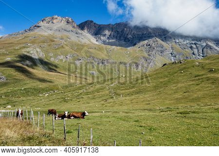 Lanslevillard In The Rhone-alpes, France - Panoramic View Of The Mountains With Cows On A Meadow
