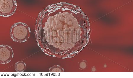 3d : Human Cell Or Embryonic Stem Cell Microscope Background. 3d Rendering.
