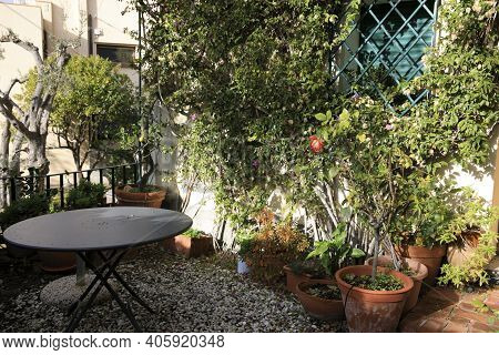 Varigotti (sv), Italy - December 30, 2017: A Tipycal Garden In Varigotti Village, Italian Riviera, S