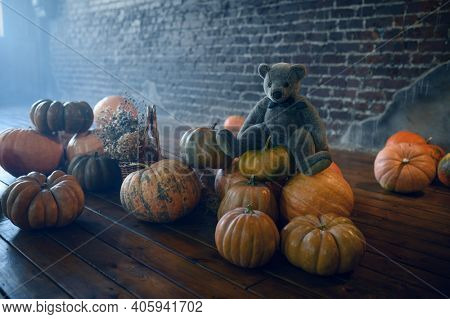 Pumpkins and teddy bear, nobody, exorcism concept