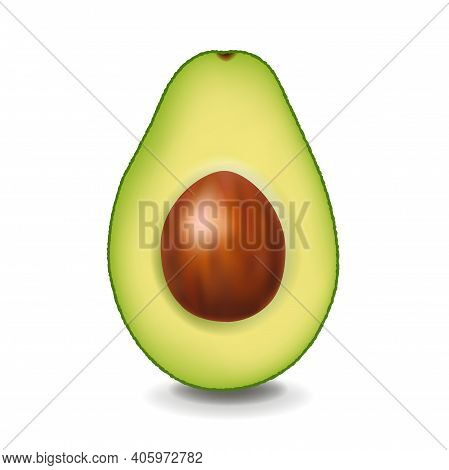 Avocado Isolated With White Background With Gradient Mesh, Vector Illustration