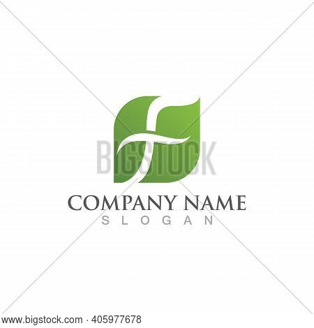 F Letter Vector Icon