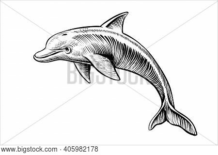 Jumping Dolphin Drawing, Vector Sketch. Black And White Isolated Illustration.