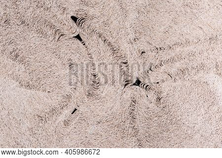 Fragment Of Deformed Roll Of A Gray Brown Undyed Unbleached Soft Crepe Paper, View From The Butt-end