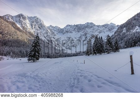 Aerial Winter Landscape Mountain Valley With Forest Covered In Snow. Zgornje Jezersko, Slovenia.
