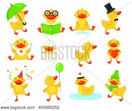 Funny Duckling Set. Cute Yellow Baby Duck Practicing Different Activities. Student Or Teacher Bird R