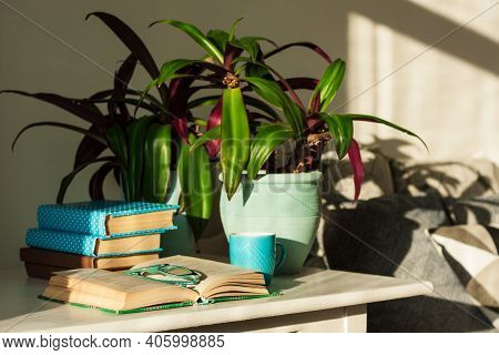 Pile Of Books In Colorful Covers And Rhoeo Plant Tradescantia In Blue Ceramic Pots On A White Table