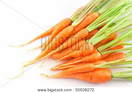 Carrots