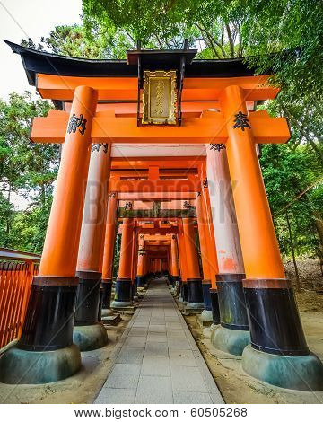 Torii gate at Fushimi Inari-taisha shrine in Kyoto