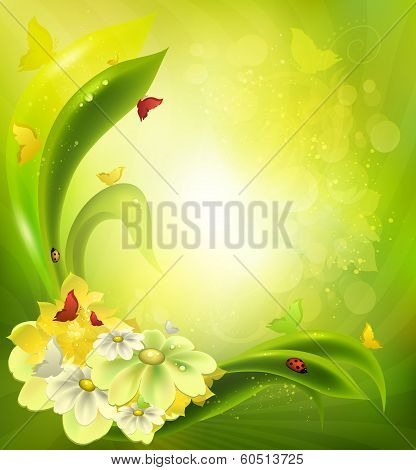 Summer Background