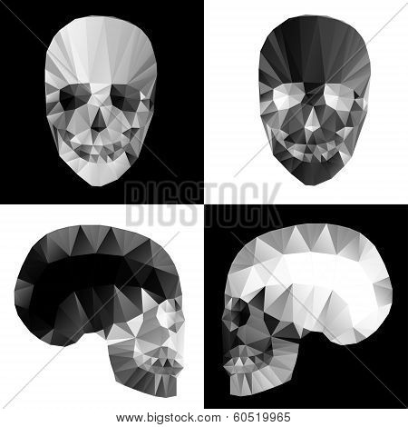 Crystal skulls on black and white backgrounds