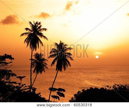 Great Courland bay, Tobago.