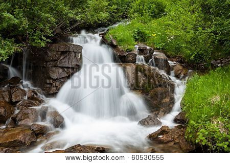 Clear Spring In Freen Forest