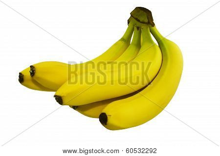 Bananas Isolated