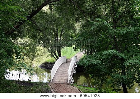 Footbridge Across The Pond
