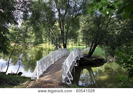 Footbridge Across The Pond