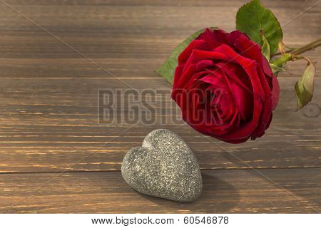 roses as a gift and surprise to a party. symbolic photo for birthday, mother's day, love, valentine's day