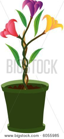 Bloempot