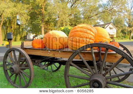 Automne citrouilles sur Wagon