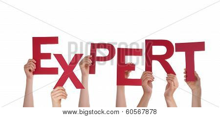 Hands Holding Expert
