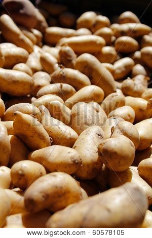Potatoes background