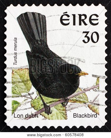 Postage Stamp Ireland 1998 Common Blackbird, Bird
