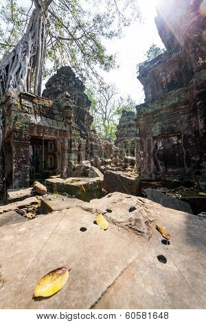 Ta Prohm Temple At Angkor Wat, Siem Reap, Cambodia.
