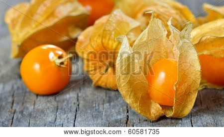 Physalis fruit on old wood