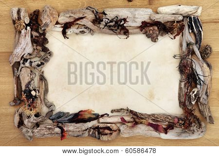 Driftwood and seaweed abstract border over oak wood and paper parchment background.