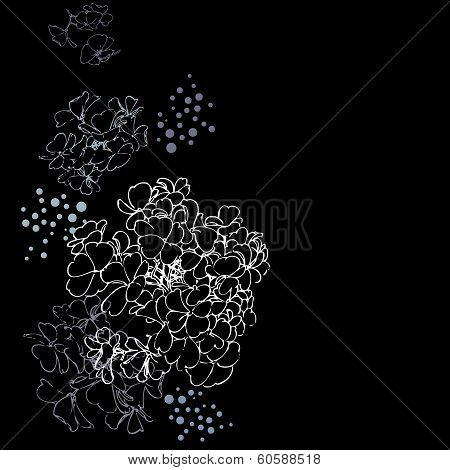 Hydrangea background