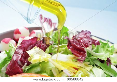 closeup a plate with mesclun, a mix of assorted salad leaves, dressed with olive oil