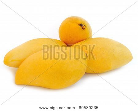 mango fruit isolated on white background