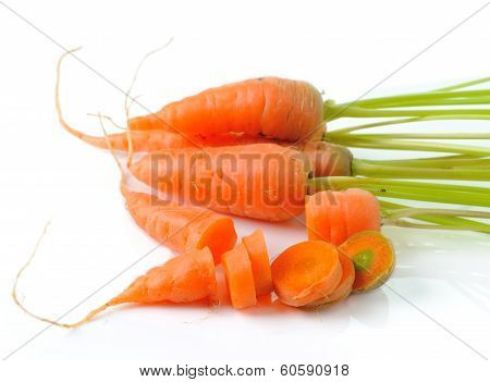 Carrot Isolated On White Background