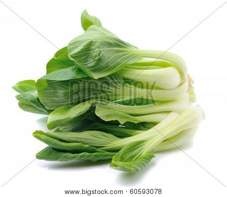 Pok Choi  Vegetable Isolated On White Background