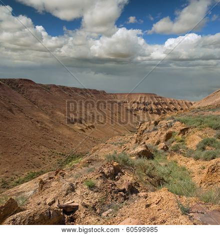 Ustyurt Plateau Desert Landscape
