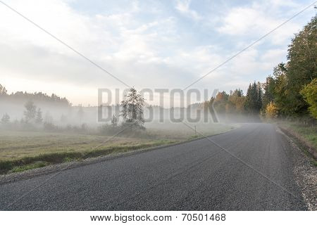 Misty Road In The Morning