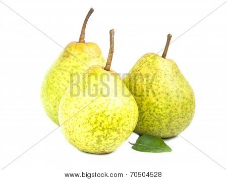 Pears