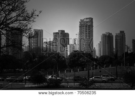 Black and white skyline