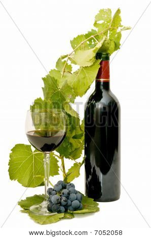 Vino tinto