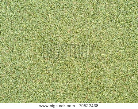 Artificial Turf