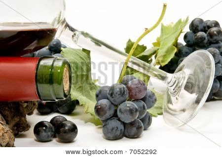 Vino tinto