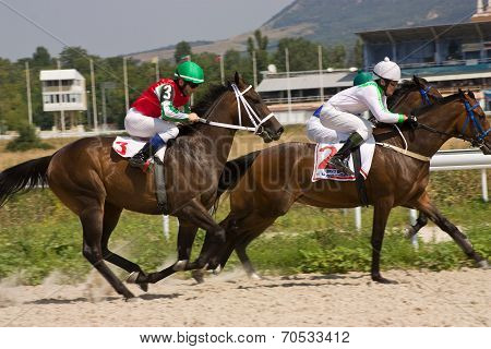 Horse Race Start.