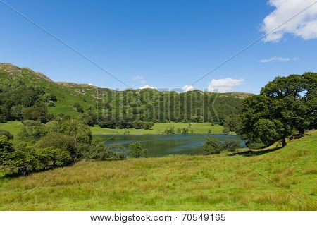 Loughrigg Tarn Lake District Cumbria England situated north of Windermere and Skelwith Bridge
