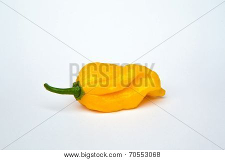 Chili Pepper Isolated On A White Background