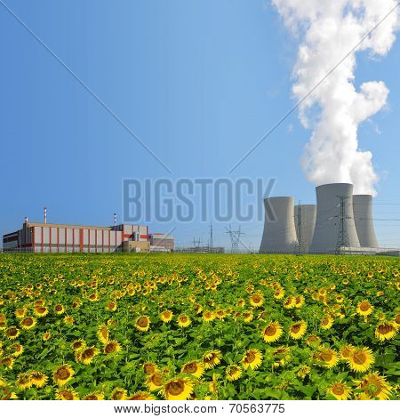 Nuclear power plant