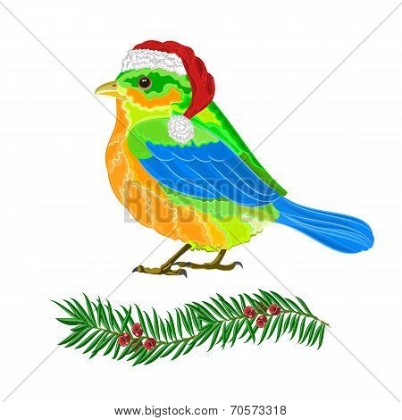 Christmas Bird Vector