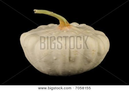 Pattypan บน Backround สีดำ
