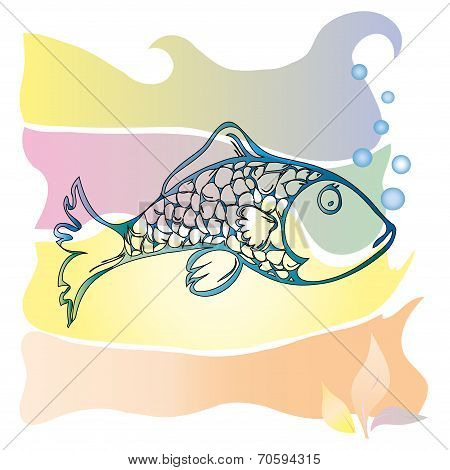 Marine fish