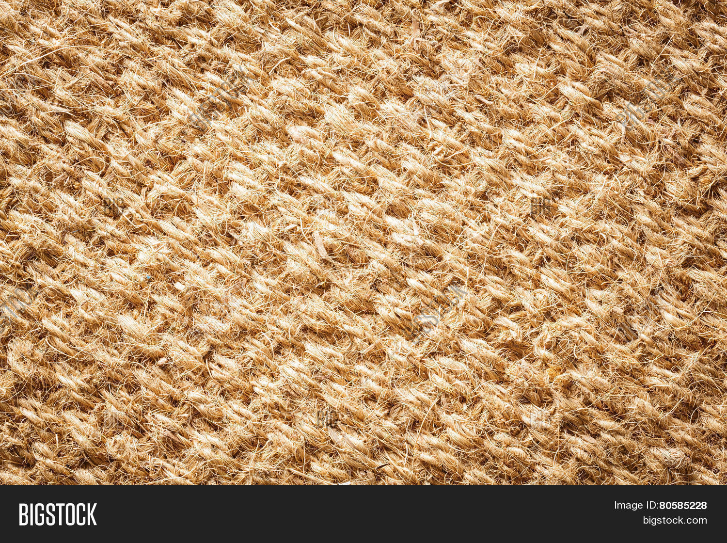 Coconut Fiber Mat Image & Photo (Free Trial) Bigstock